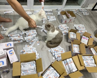 Súp Thưởng Snacks Pet
