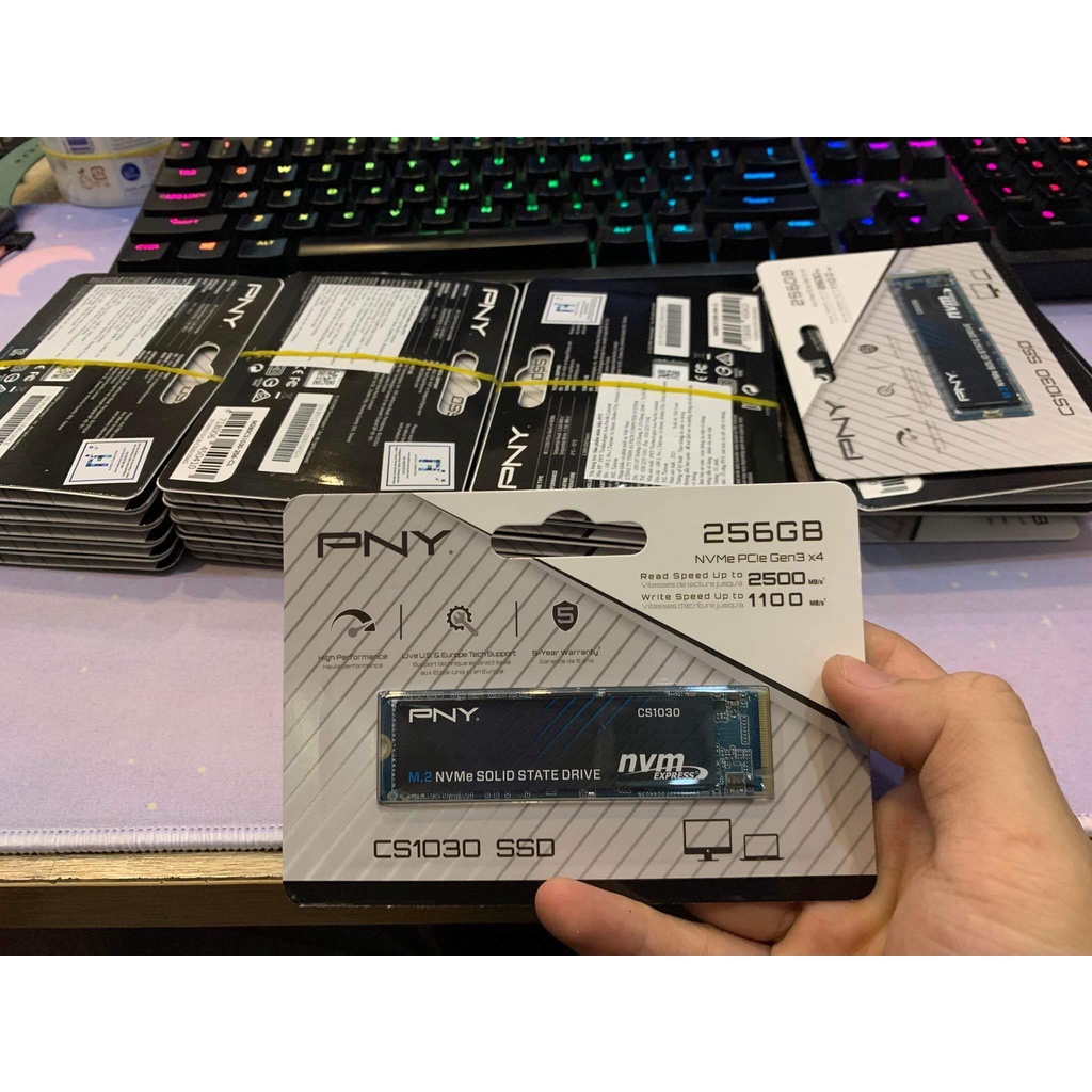 SSD 256GB PNY CS1030 M.2 2280 NVMe Gen3x4 - Hàng Chính Hãng
