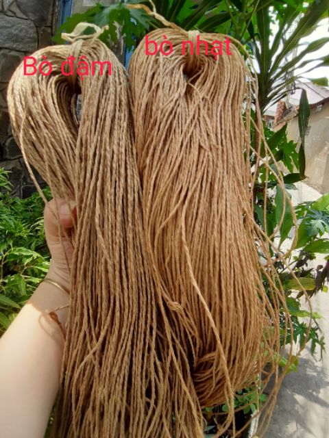 Sợi cói giấy