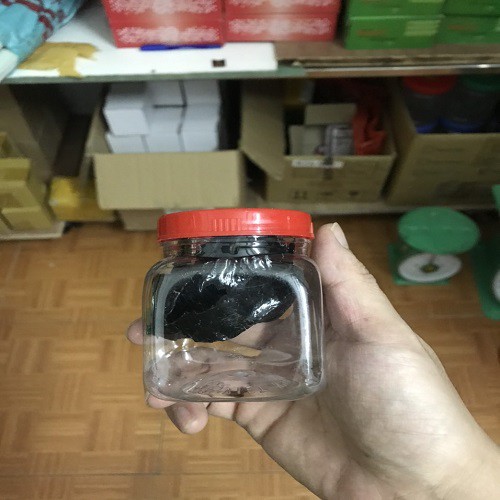 Keo bẫy chim siêu dính loại xịn, hộp nhỏ 50g