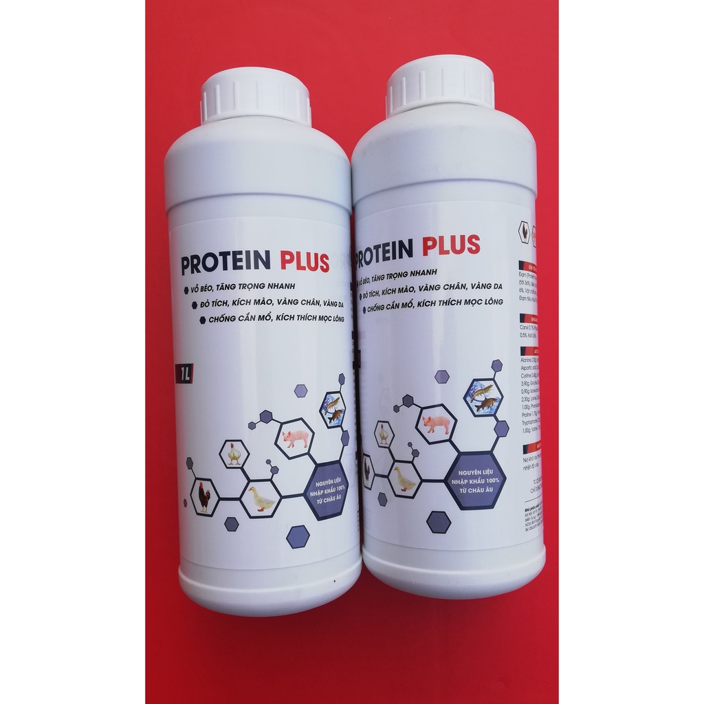 1 LÍT PROTEIN PLUS Vỗ béo, tăng trọng nhanh, đỏ tích, kích mào, vàng chân, vàng da, chống cắn mổ, kích thích mọc lông.