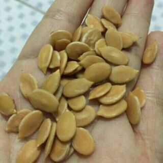 1kg hạt dưa 140k