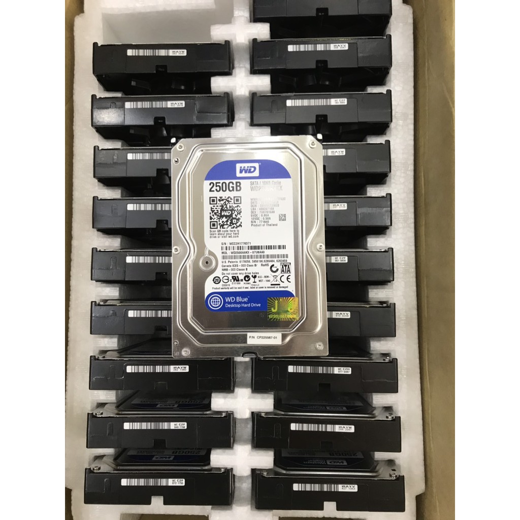 Ổ cứng HDD WD Western Digital 250GB - Bảo hành 6 tháng 1 đổi 1 | BigBuy360 - bigbuy360.vn