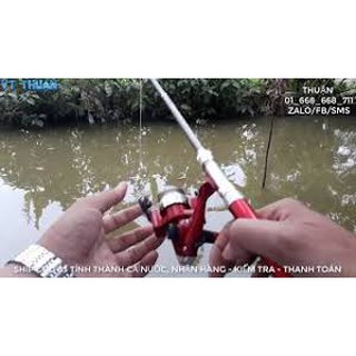 (Loại tốt) Cần câu bút mini.