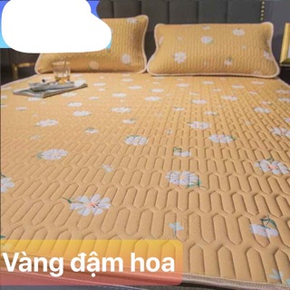 [ SALE SỐC RẺ VÔ ĐỊCH] CHIẾU ĐIỀU HOÀ TENCEL MỦ CAO SU NON