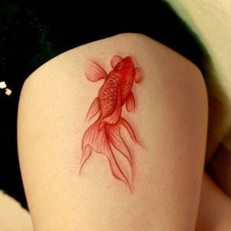 Bộ 10 Tấm Sticker Hình Cá Koi 3d Sống Động Dùng Để Trang Trí Đồ Thủ Công