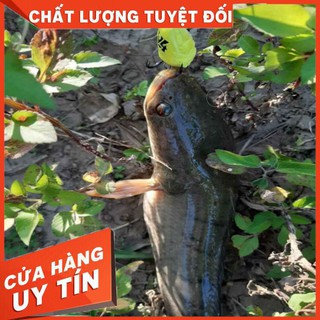 Mồi câu lure Hunter V4