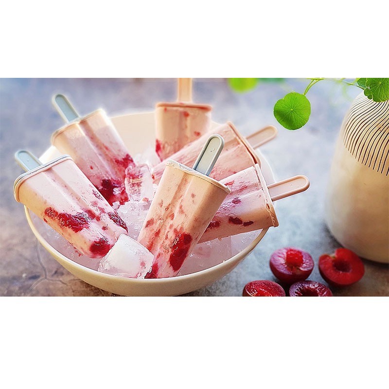 Khuôn Làm Kem Kari, Khuôn Kem Inochi - Việt Nhật Chính Hãng Có Que Cho Bé Nhựa Nguyên Sinh An Toàn (MS0129)