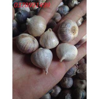 TỎI CÔ ĐƠN 1KG