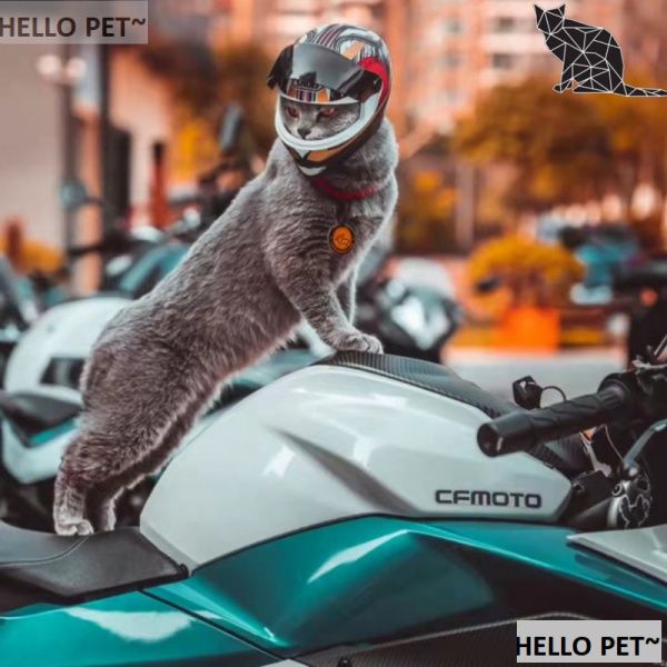 Mũ Bảo Hiểm Toàn Bộ Mũ Bảo Hiểm Phong Cách retro Cho Thú Cưng