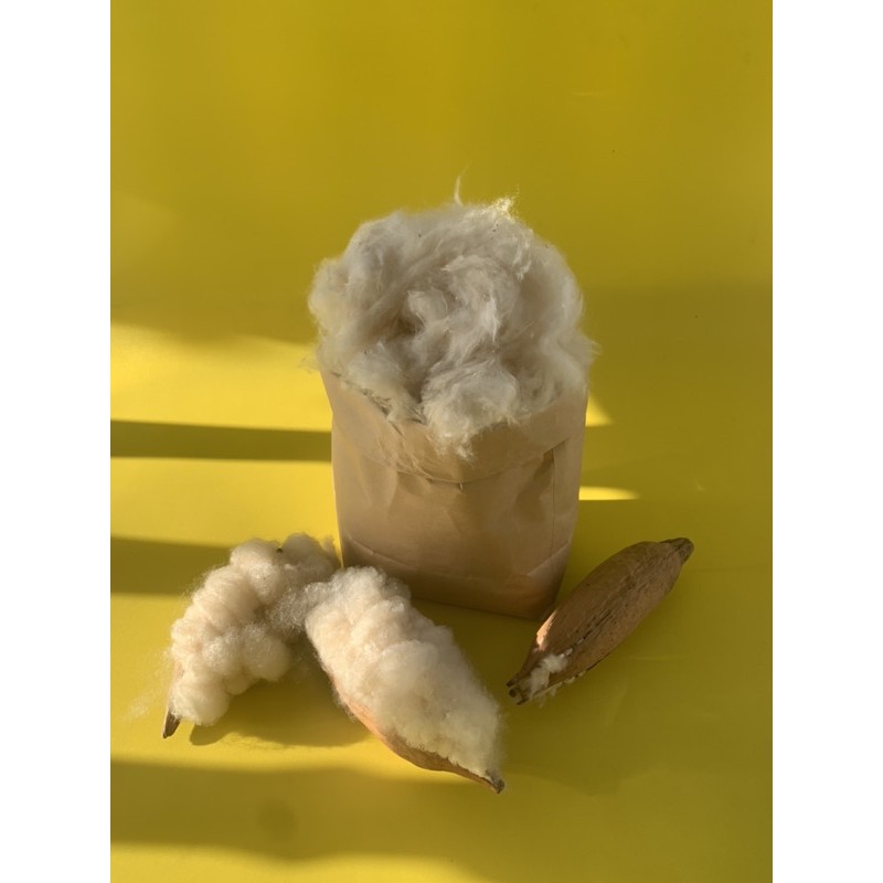 Bông gòn tự nhiên nhồi gối 1kg