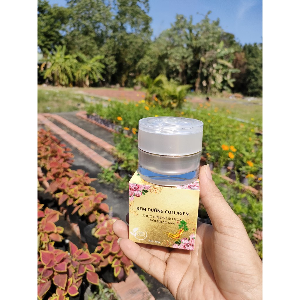 Kem dưỡng Collagen hoa hồng trắng 20gr, dưỡng chuyên sâu ngừa mụn nám, trắng sáng da sau tái tạo