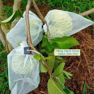 (200 túi) Túi Bao Ổi, Bơ, Mận, Na, xoài (18 x 18cm) - Túi Lưới Bao Trái Cây