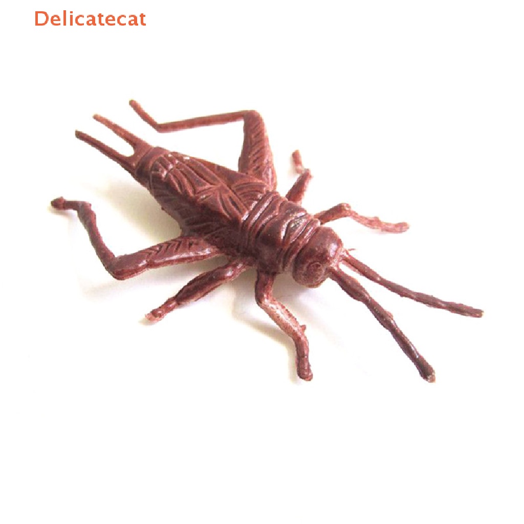 8 Mô Hình Côn Trùng Bằng Nhựa Cho Bé