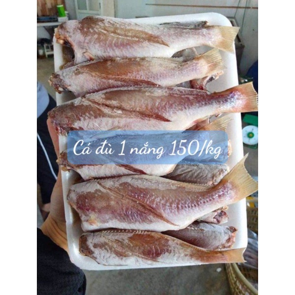 cá đù một nắng | BigBuy360 - bigbuy360.vn