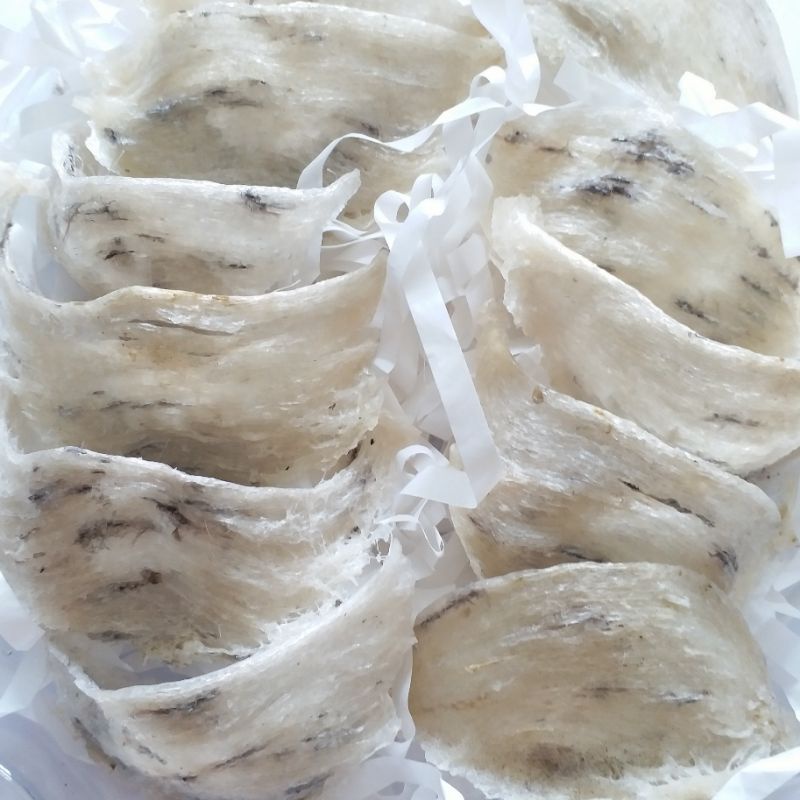 Yến sào thô nguyên tổ + Quà
