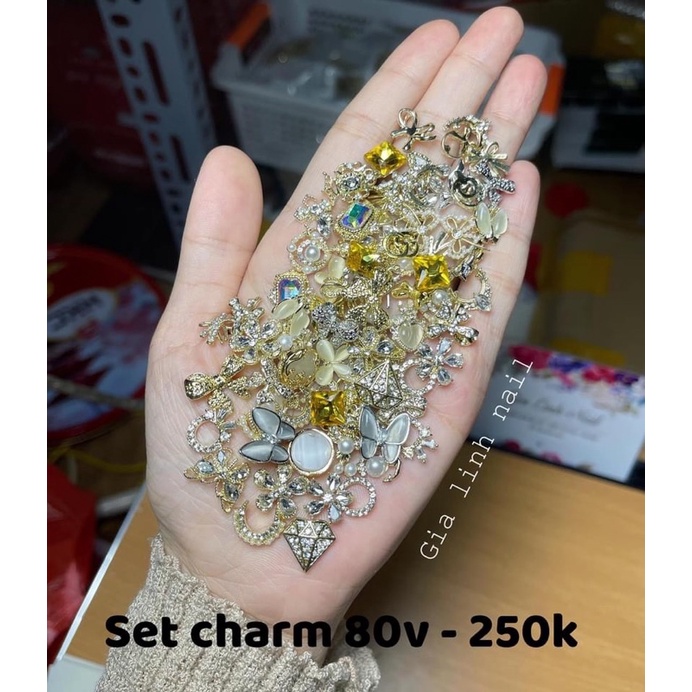 Charm gắn móng trang trí ( set 80v y hình )