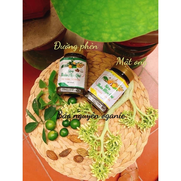 SIRO HO HÚNG CHANH- THẢO MỘC QUÊ 350ML