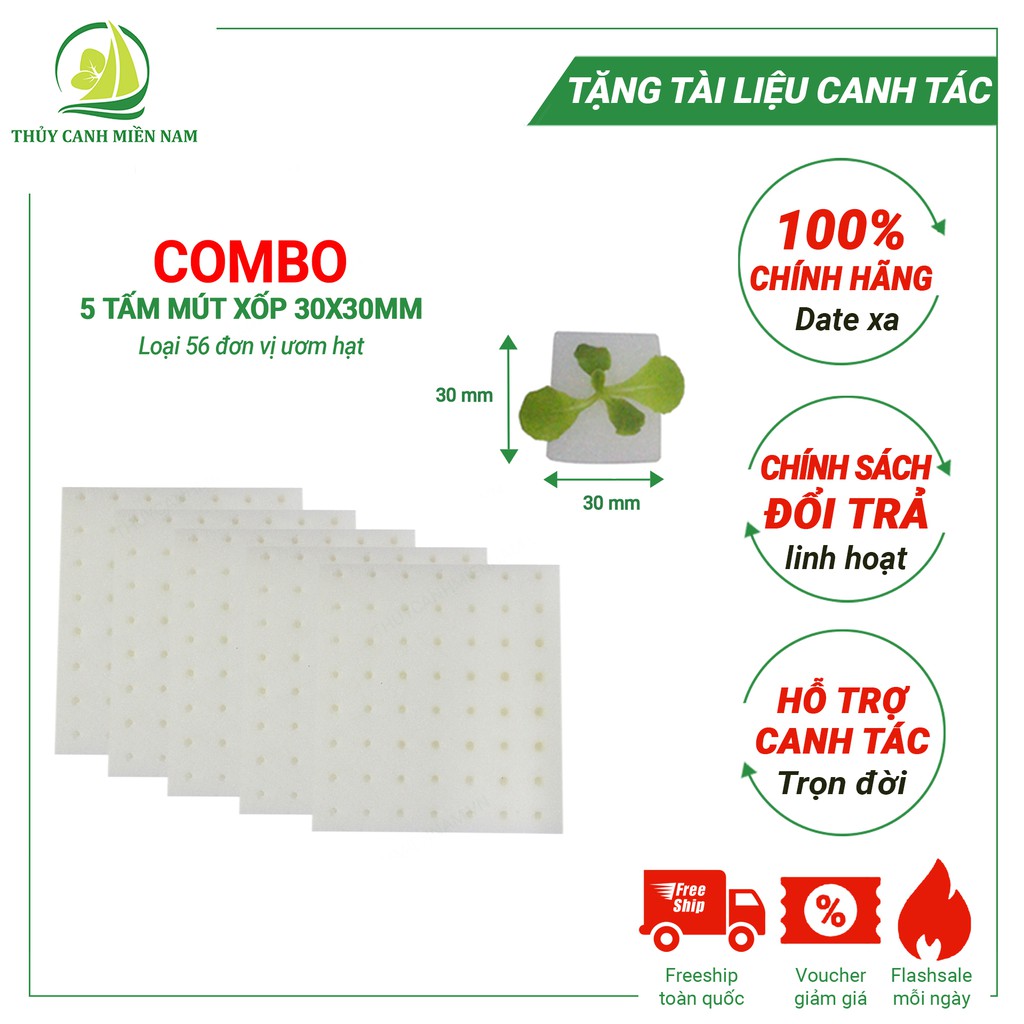 Bộ 5 Tấm Mút Xốp Ươm Hạt Thuỷ Canh 30x30mm - Loại 56 Viên Mút Ươm Mỗi Tấm, Cắt Rãnh, Đục Lỗ Sẵn