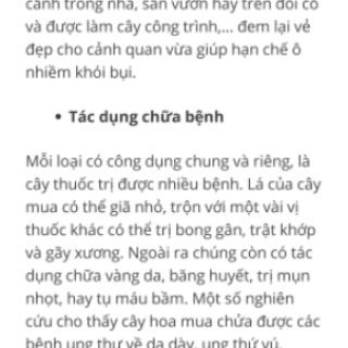 Cây giống sim Úc (mua Úc )