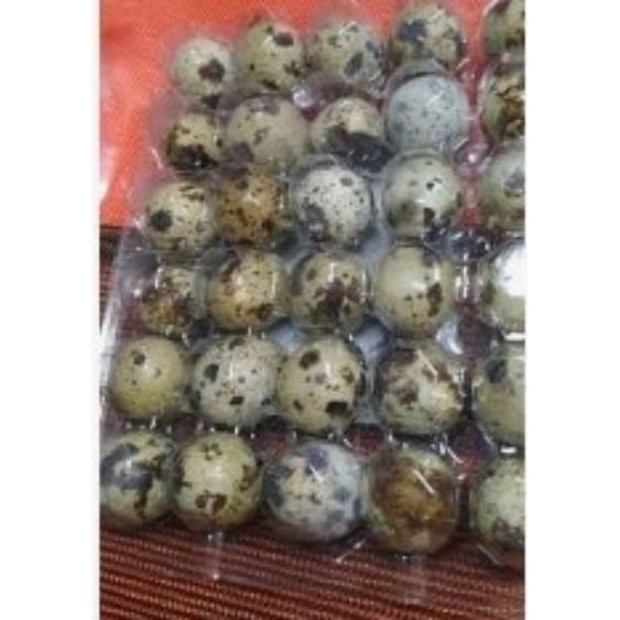 Trứng Chim Cút Tươi, cút lộn