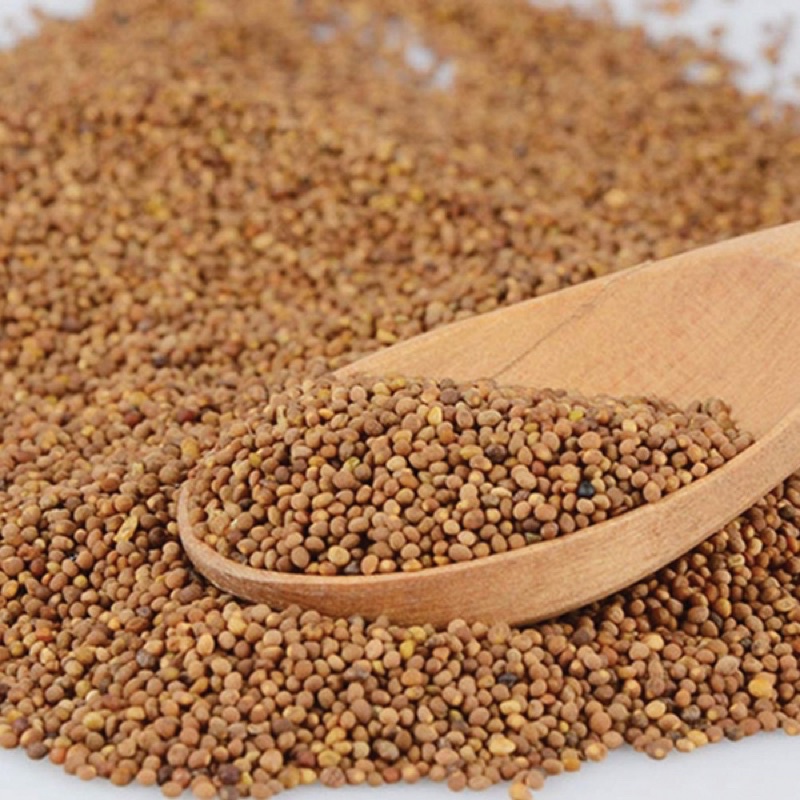 THỎ TY TỬ loại 1