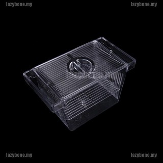 Lồng Ấp Trứng Cá Cách Ly Cho Bể Cá
