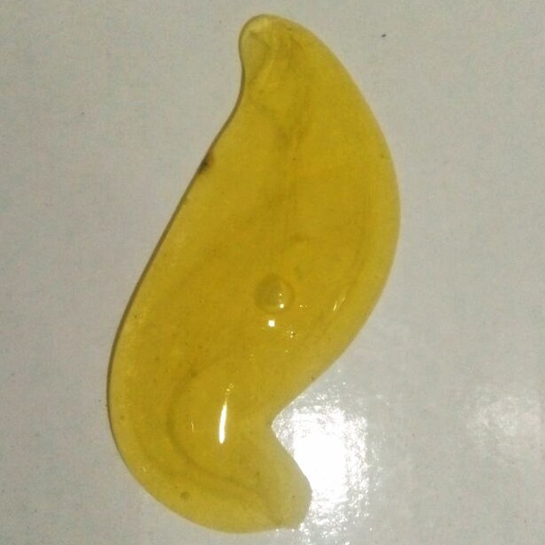 Gói slime cho trứng biến thái gudetama