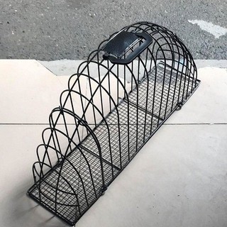 Lồng tắm cho mèo