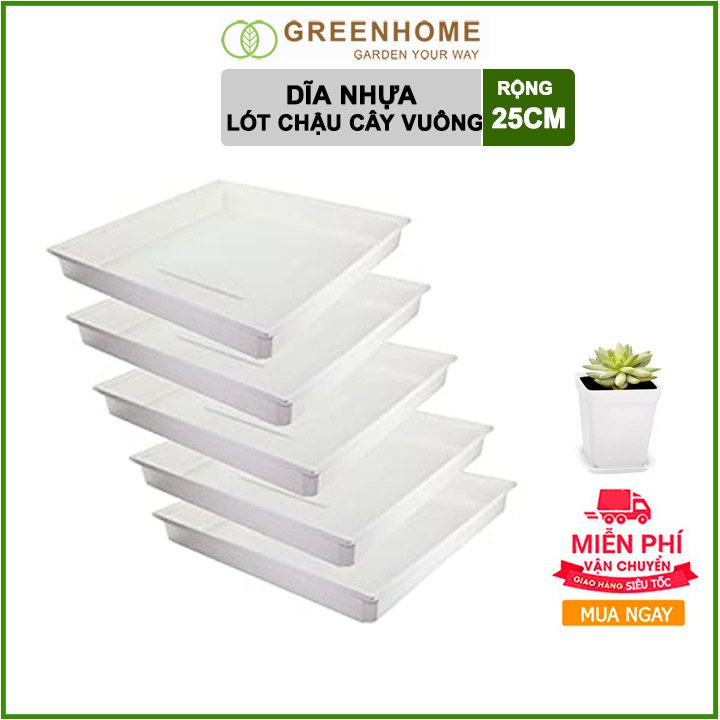 Dĩa lót chậu cây, D25xR25cm, hình vuông, nhựa nguyên sinh, bền, đẹp | Greenhome