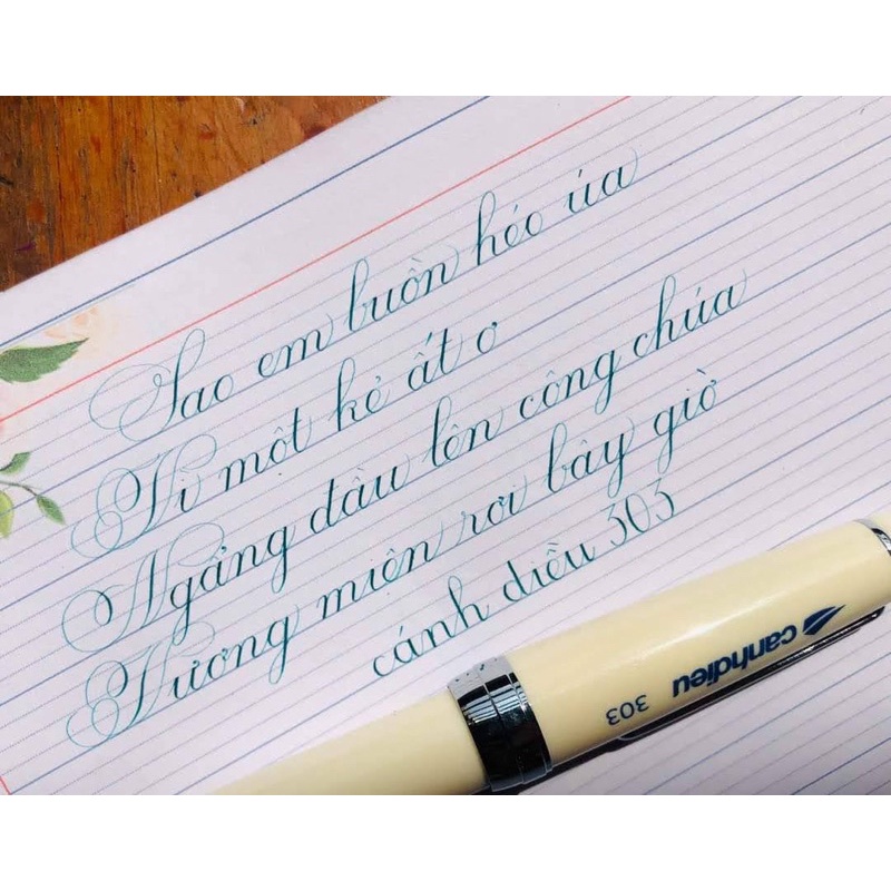 Bút Cánh Diều CD303 ngòi mài F