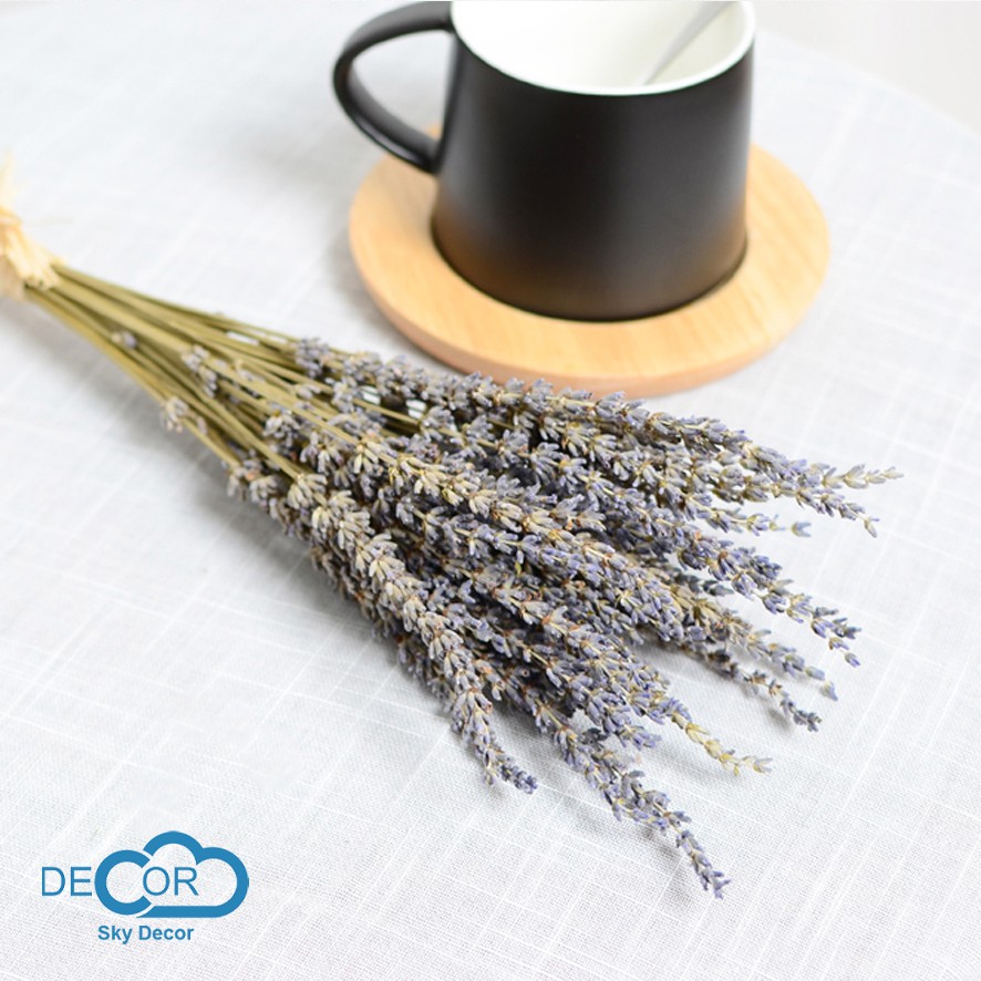 BÓ, NHÁNH, CÀNH LAVENDER KHÔ TỰ NHIÊN TRANG TRÍ NHÀ CỬA, ĐẠO CỤ CHỤP ẢNH SẢN PHẨM