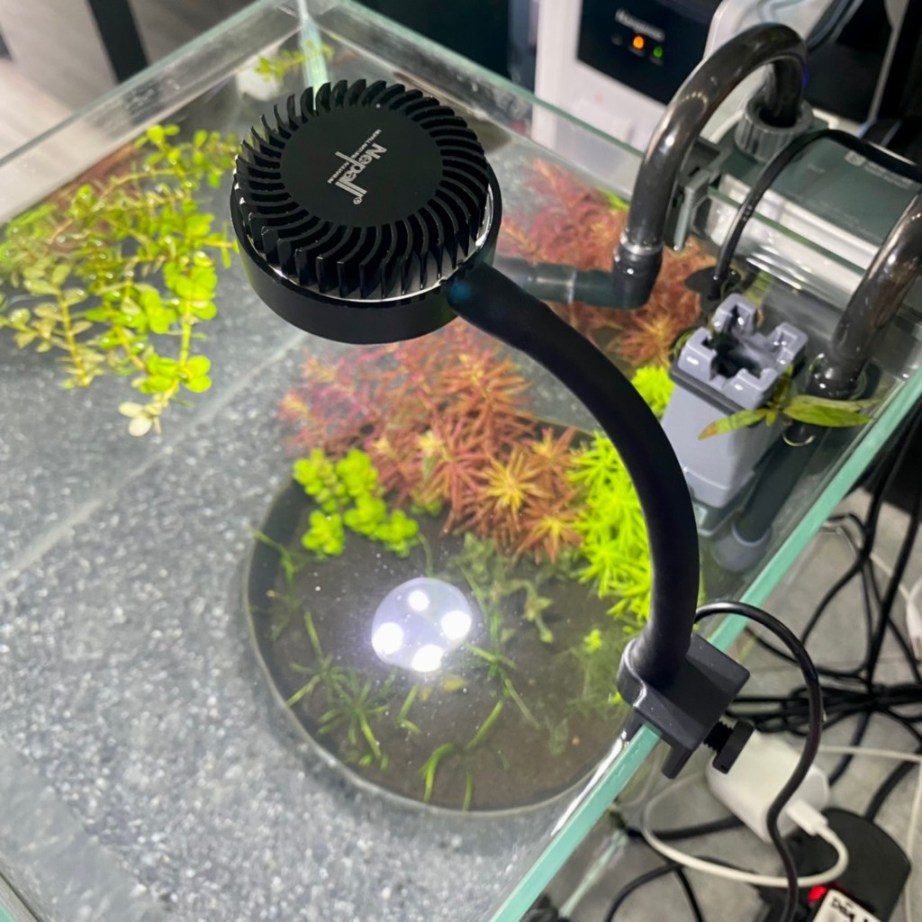 Đèn Kẹp Nepall Mini Fill