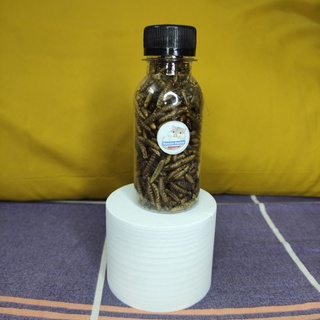 Sâu khô cho Hamster , sóc , cá , Vẹt chai 100-330ml – Giàu đạm, dễ tiêu | Hamster Petshop1