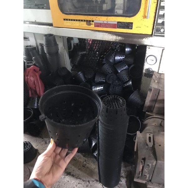 Chậu trồng lan Đen phi 18cm/ 21cm/ 23cm