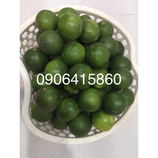 Chanh nhà nội em trồng đã mọng nước rồi quý khác ủng hộ ông e nhé!