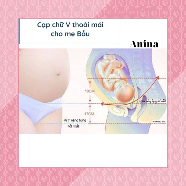 Quần lót bầu cạp chéo kháng khuẩn chất coton chất lượng loại 1 QL001