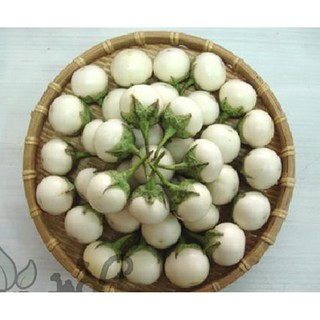 HẠT CÀ PHÁO TRẮNG - GÓI 1 GRAM