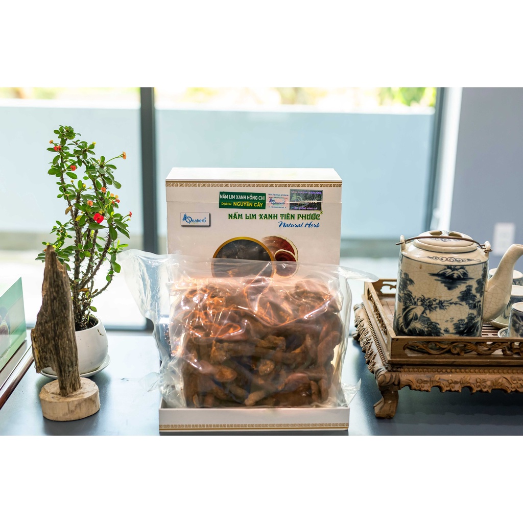 Nấm Lim Xanh Tiên Phước - Nguyên cây 500GR