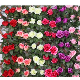 Dây leo hoa hồng giả 16 đầu bông