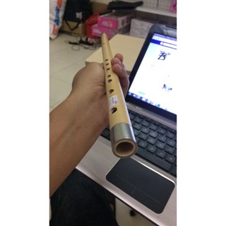 [FREESHIP]Sáo trúc mão mèo cho người mới học thổi D200