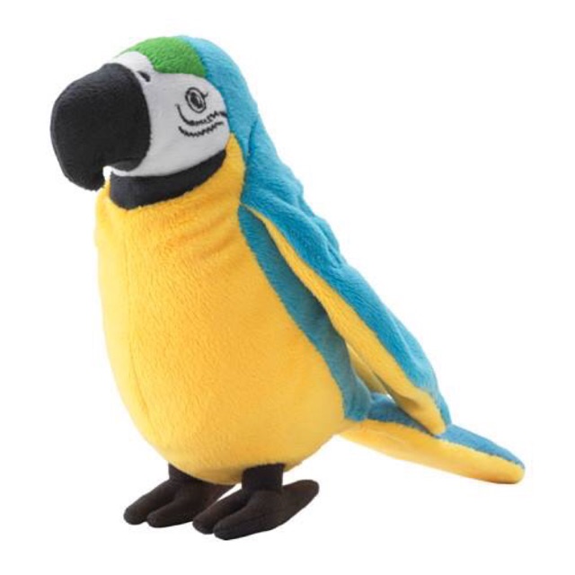 vẹt hanhn'macaw