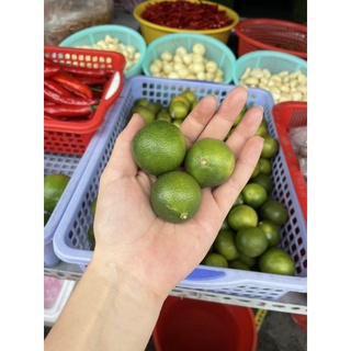 TẮC TƯƠI VƯỜN NHÀ