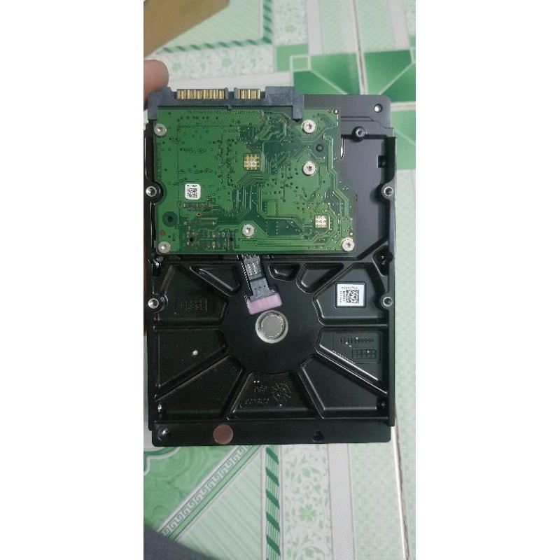 ổ cứng seagate 500gb | BigBuy360 - bigbuy360.vn