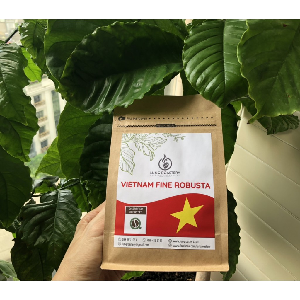 CÀ PHÊ CAO CẤP VIETNAM FINE ROBUSTA (CHỨNG NHẬN BỞI CQI - COFFEE QUALITY INSTITUTE)