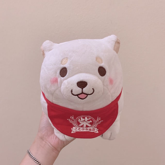 Gấu bông Chó shiba
