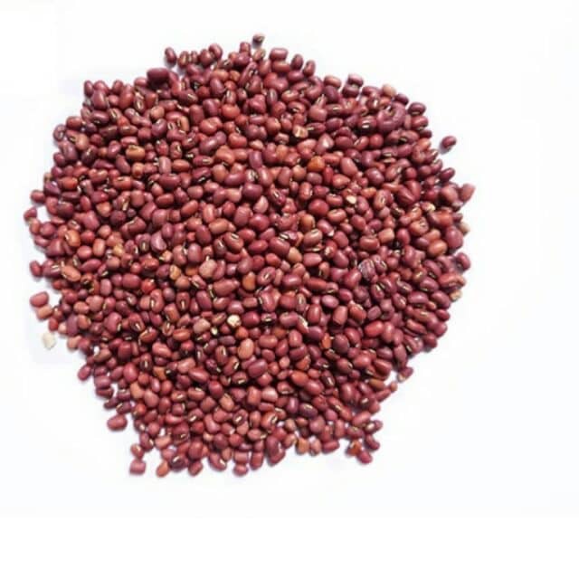 Đậu đỏ quê hạt nhỏ 9