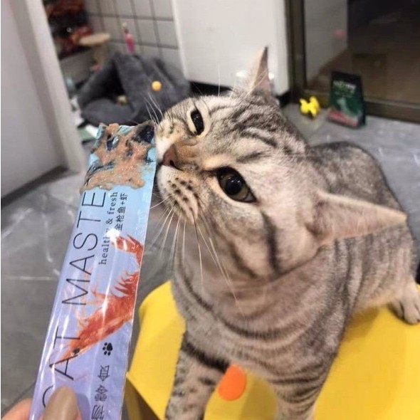Súp Thưởng Cat Master Cho Mèo 18G - giahuypetshop