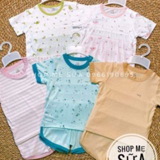 Bộ cài vai cộc pettit hồng nhath Nous