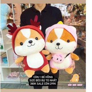 Gấu bông corgi đội lốt 😍(màu hồng- SALE SHOCK)